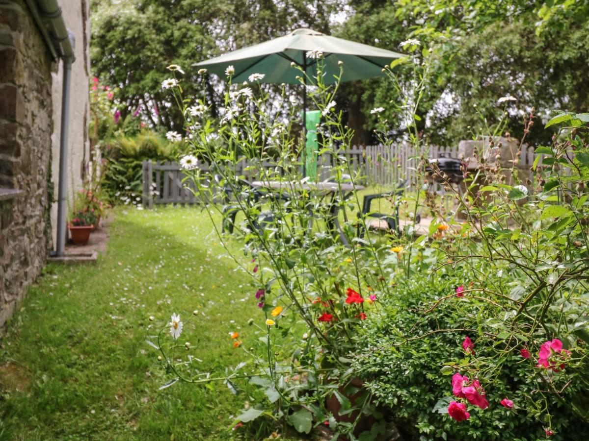 Badger Cottage Mawgan المظهر الخارجي الصورة