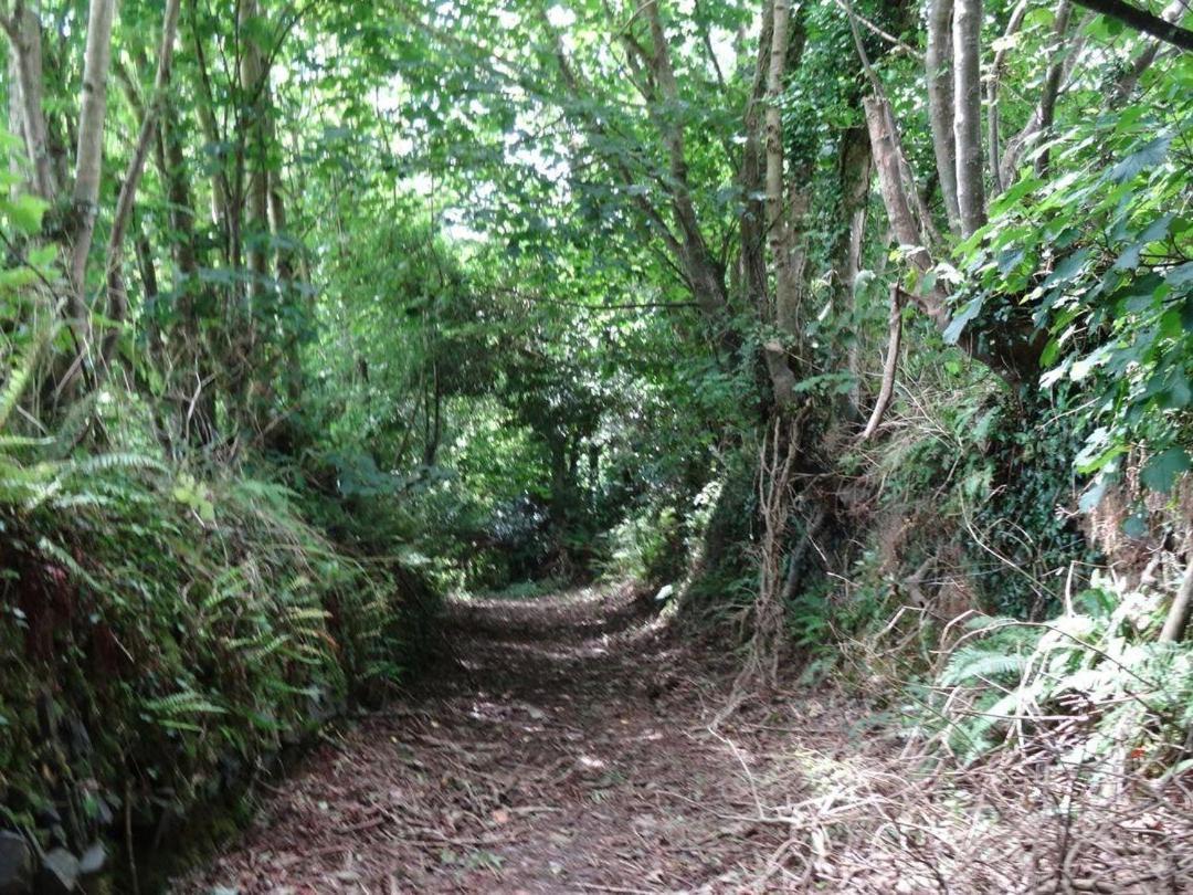 Badger Cottage Mawgan المظهر الخارجي الصورة